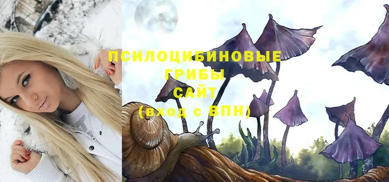 Псилоцибиновые грибы Magic Shrooms  hydra tor  Ижевск 